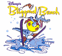 Blizzard Beach